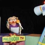 STUDIO KAMARÁD - FOTO:  PAVLA ČERNÁ